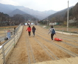MT-레일썰매